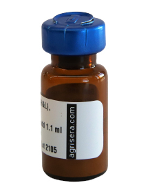 Rabbit anti-Mouse IgG (H&L), FITC conjugated, min, cross-reactivity to human serum in the group Secondary Antibodies / Anti-Mouse / Fluorescent / FITC, TRITC at Agrisera AB (Antibodies for research) (AS10 1190)